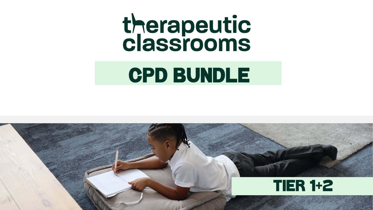 CPD Bundle Tier 2