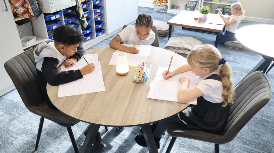 Therapeutic Classrooms